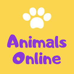 Animals Online